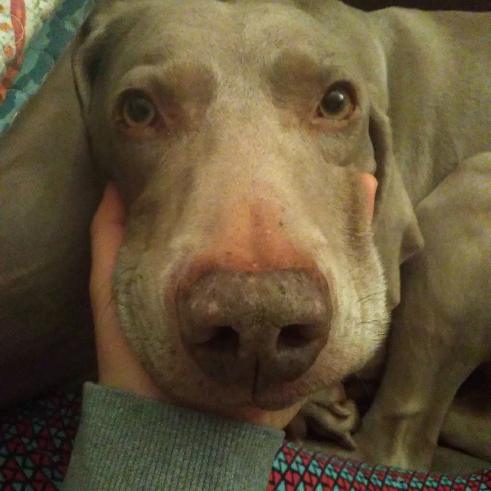 Meet your Posher, Madison